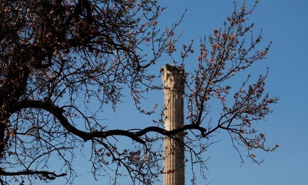 An ancient column is seen in the Roman Forum in Rome, Italy February 21, 2020. REUTERS/Yara Nardi
