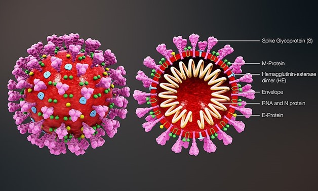 Coronavirus- CC via https://www.scientificanimations.com/