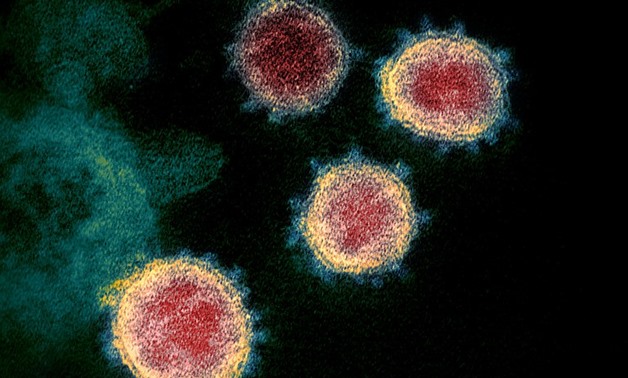 Novel Coronavirus SARS-CoV- CC via Wikimedia
