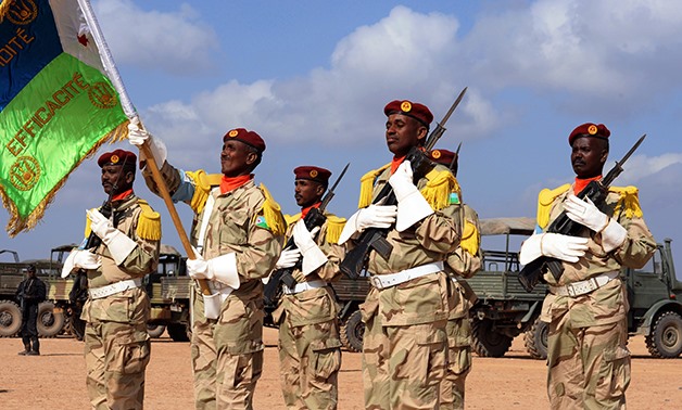 Djibouti soldiers at attention - CC via Wikimedia Commons - Master Sergeant Carlotta Holley, CJTF-HOA
