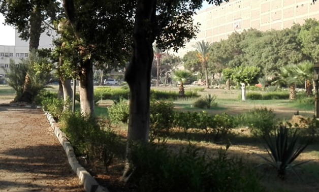 One of the parks affiliated to the Center for Children’s Culture in Haram St. – Mohammed Anwar