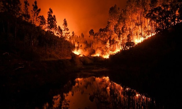 About 60 forest fires broke out in central Portugal, killing at least 39 people and injuring 59
