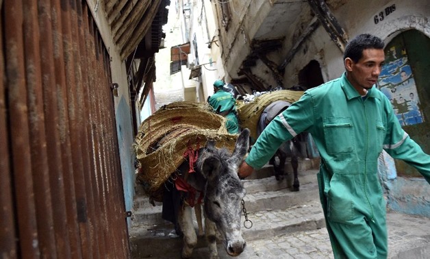 Without its donkeys loaded with huge panniers and accompanied by their green-uniformed handlers, Algiers' famed Kasbah would sink - AFP/RYAD KRAMDI