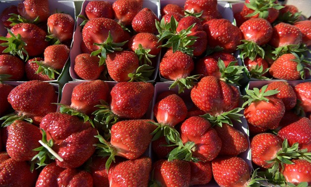 Strawberries. Reuters