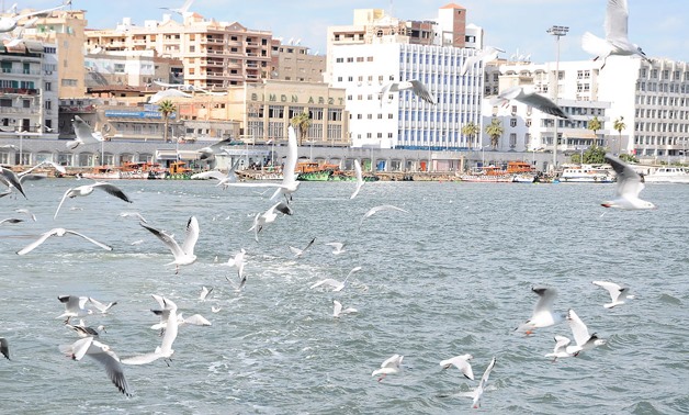 Port Said CC Via Wikimedia