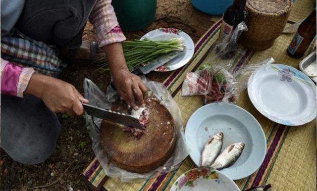 This photograph taken on May 20, 2017 shows a farmer chopping fresh fish for lunch in the northeastern Thai province of Khon Kaen. Millions of Thais across the rural northeast regularly eat koi pla — a local dish made of raw fish ground with spices and li
