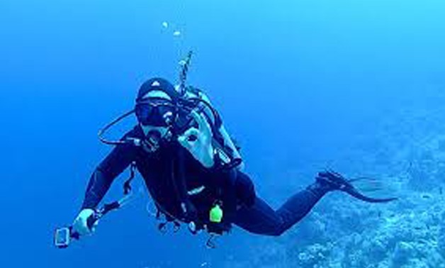 Diver in the Red Sea - File 
