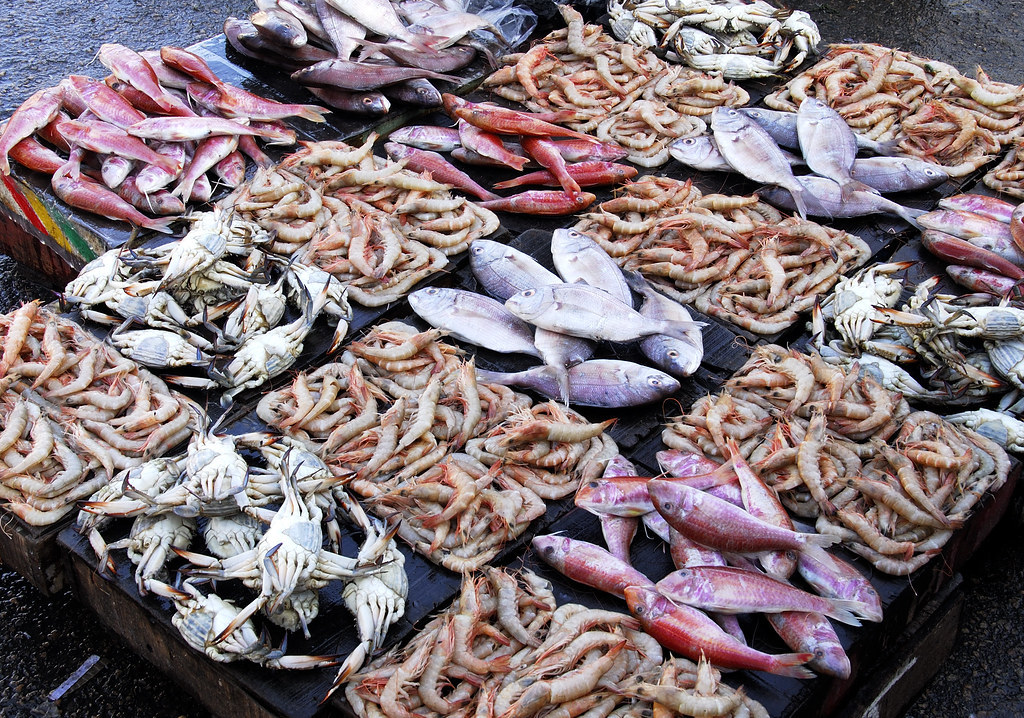 Fresh_fish_and_other_sea_creatures_offered_for_sale_in_Sayala_fish_market