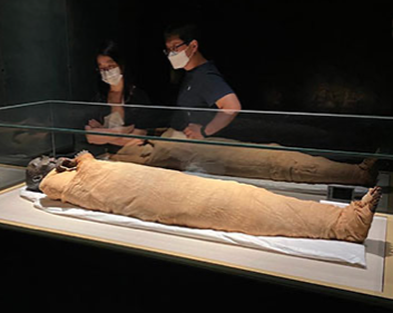 Royal Mummies Hall - ET