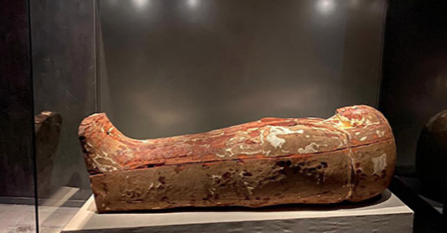 Royal Mummies Hall - ET Royal Mummies Hall - ET
