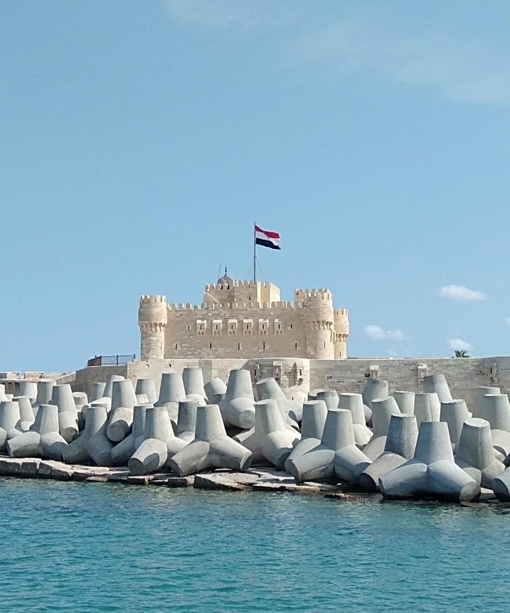 412564-مبنى-القلعة 412564-مبنى-القلعة