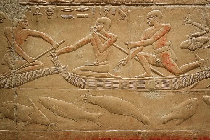 Catfish depicted on inscriptions found inside Kagemni Tomb, Saqqara - social media