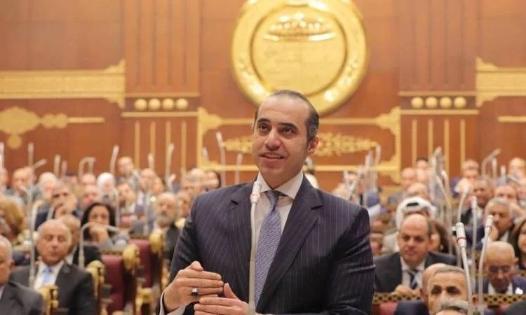 Mahmoud Fawzy Mahmoud Fawzy