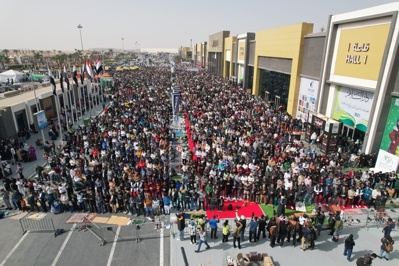 Cairo Intl Book Fair 2026 3 Cairo Intl Book Fair 2026 3