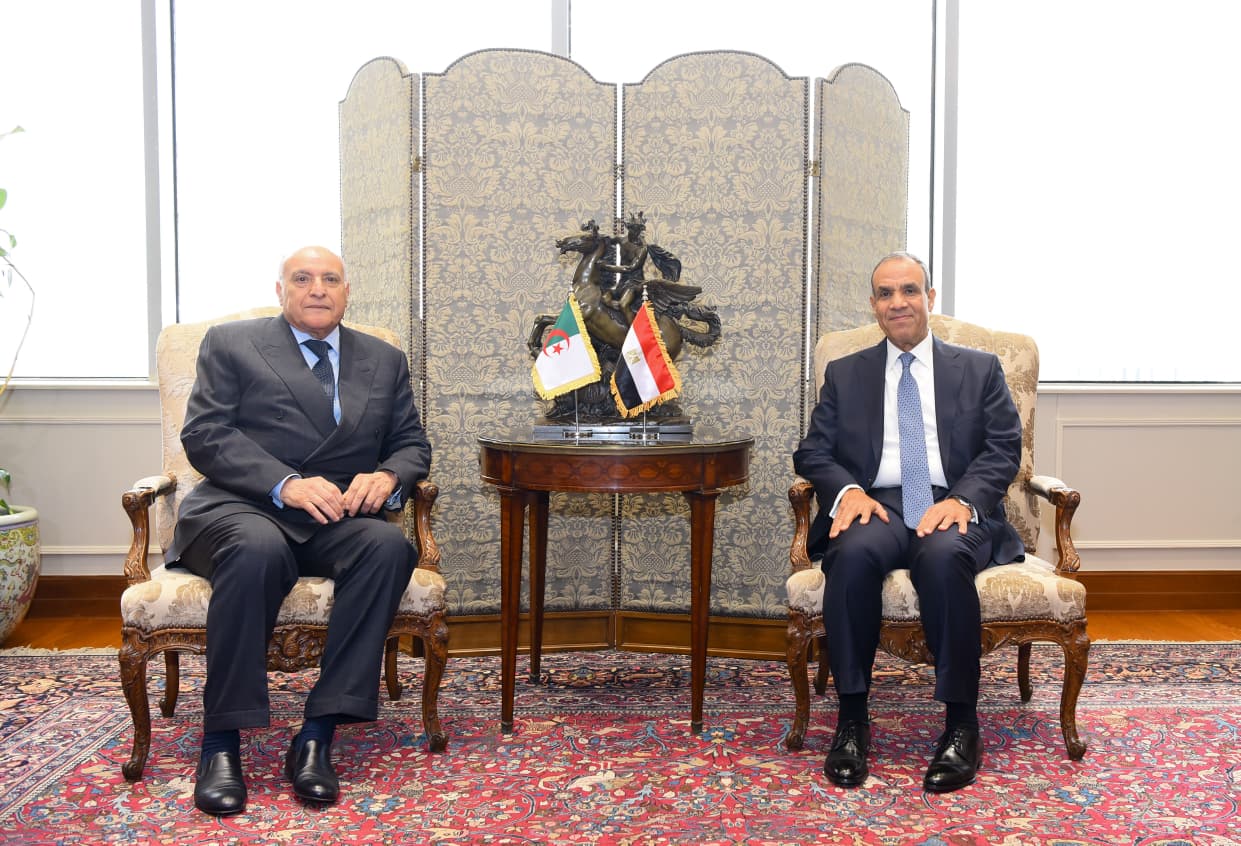 Egypt and Algerian foreign ministers Egypt and Algerian foreign ministers