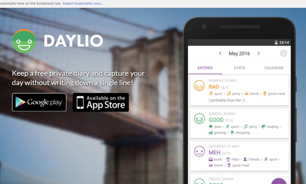 Screenshot from Daylio website