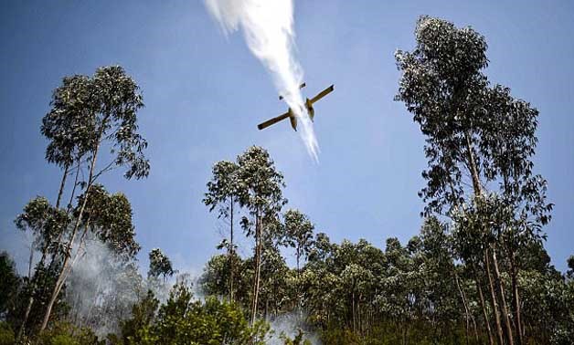  Reports about the death of a British pilot in a plane fighting Portuguese forest fires have - Reuters