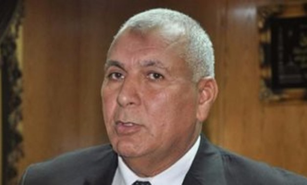 New Valley Governor Mohamed Zamalout - File Photo