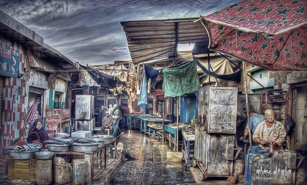 Fish Market in Suez city- Ahmed Taha- via Egypt Again project
