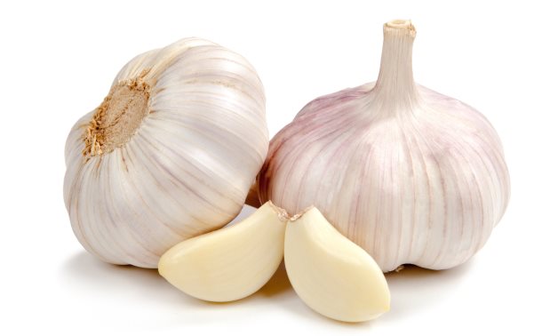 Garlic – Wikimedia Commons 