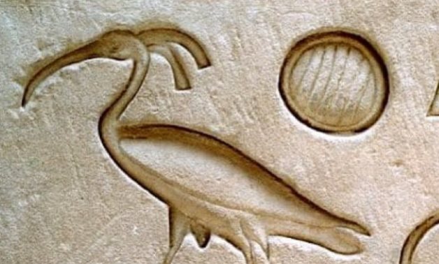 Ancient Egyptian drawing of an Ibis - Sustainability-times