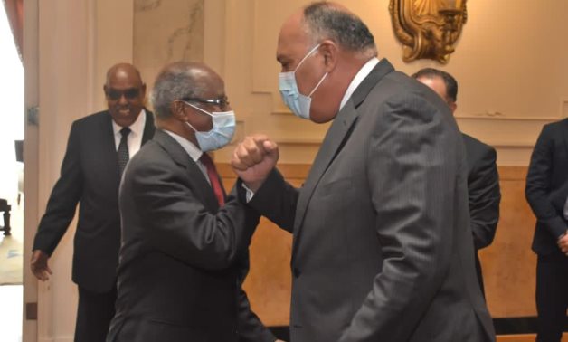 Egyptian Foreign Minister Sameh Shoukry shakes hands with Eritrean Foreign Minister Osman Saleh in Cairo-  press photo.