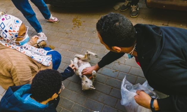 A man cuddling a stray dog during a tour organized in Downtown Cairo - Photo via Meow Tours