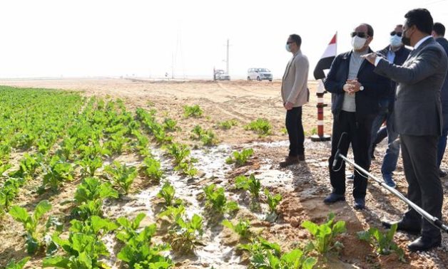 FILE - President Abdel Fatah al-Sisi inspecting reclaimed land 