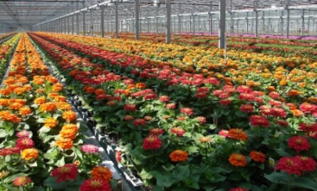 Horticulture - USDA