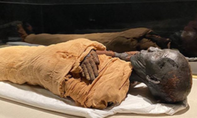 Royal Mummies Hall in NMEC - ET