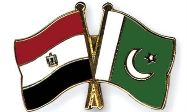 Egyptian & Pakistani flags - Crossed flag pins