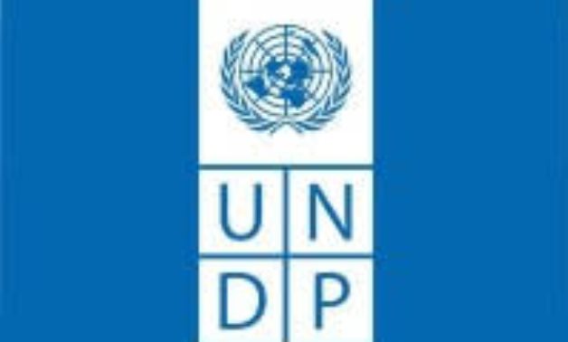 UNDP logo - Official website 