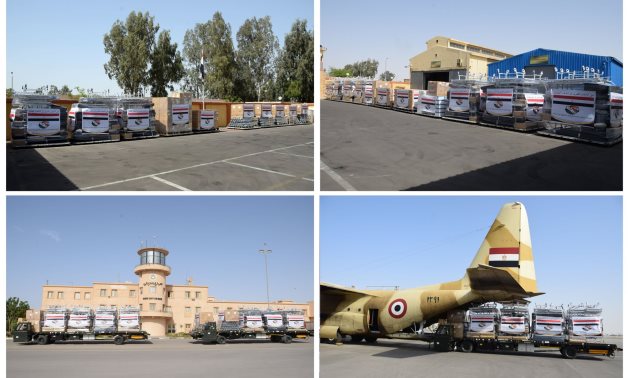 Egypt sends 3 planes with medical aid to India amid coronavirus crisis – Military spox