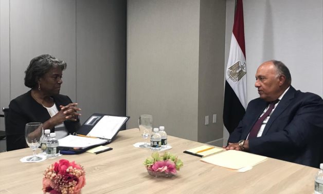 Egypt’s FM, US permanent representative discuss GERD issue ahead of UNSC session