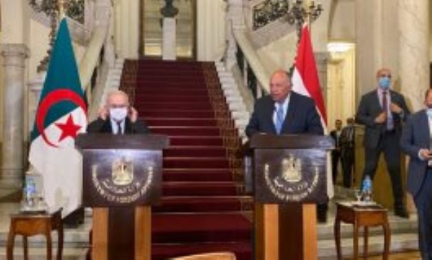 Egypt, Algeria FMs stress strong cooperation ties between two countries, discuss Libya