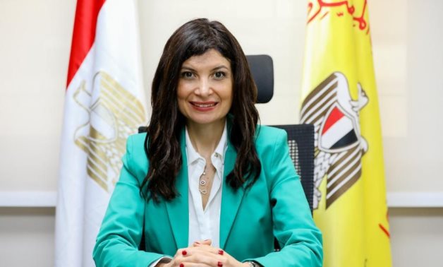 Rasha Negm, Assistant Sub-Governor of the Central Bank for Financial Technology and Innovation