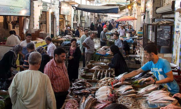 A fish market in Cairo – Flickr/WorldFish