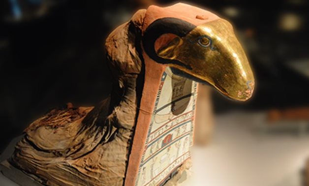 FILE - The mummified ram rests in Luxor's Mummification Museum 