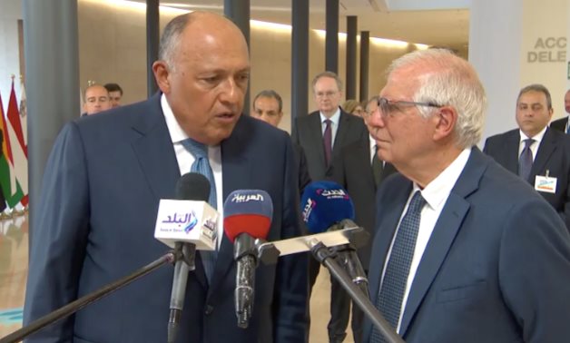 High Representative of the European Union for Foreign Affairs and Security Policy Josep Borell and Egyptian Foreign Minister Sameh Soukry- Screenshot of a video