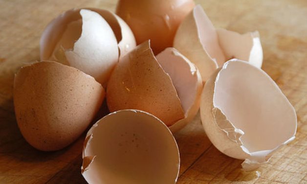 Eggshell - CC via Flickr
