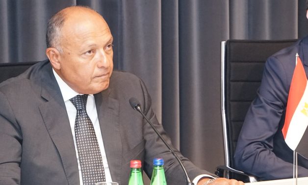 FILE - Egyptian Foreign Minister Sameh Shoukry - Flickr/Estonian Foreign Ministry