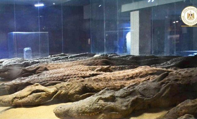 File:  The Crocodile Museum.