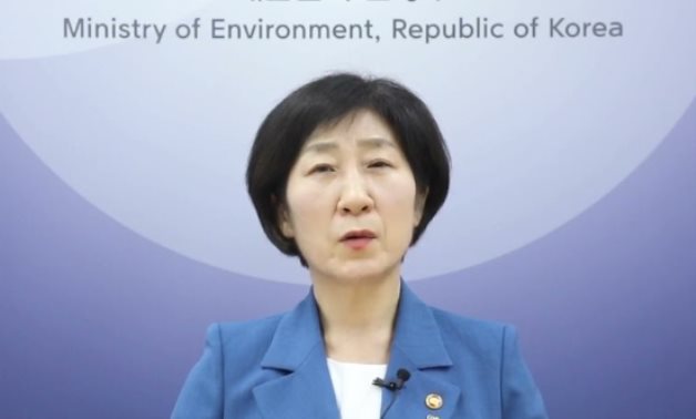 Environment Minister of South Korea Han Hwa-jin