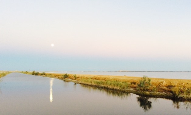 Full moon reflection on the water canal in Maraqi, Siwa Oasis – Monika Sleszynska