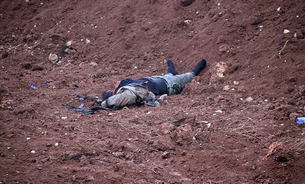 Three senior Daesh commanders killed in eastern Syria - Press Photo