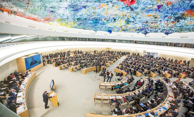 The Human Rights Council chamber in Geneva - UN Photo/By Elma Okic
