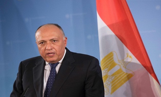 Egypt's Foreign Minister Sameh Shoukry – AFP 