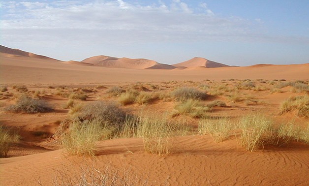 A Part of Western Desert in Egypt, December 2004 – Wikimedia.com/Florence Devouard