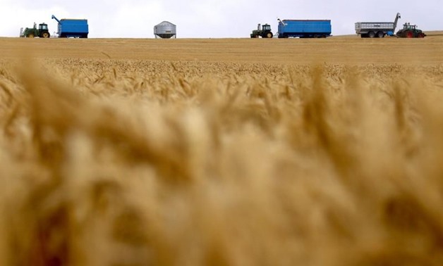 Harvesting machinery can be seen behind a wheat crop  in  in Australia, December 1, 2017. REUTERS/David Gray