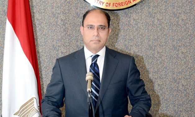 Foreign Ministry spokesperson Ahmed Abou-Zaid – Press Photo